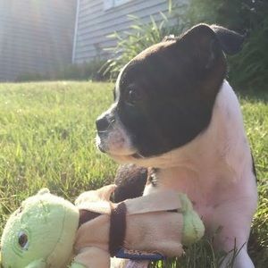 Meet your Posher, Meghan